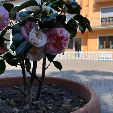 Nyaraló Ca Del Fili Lenno