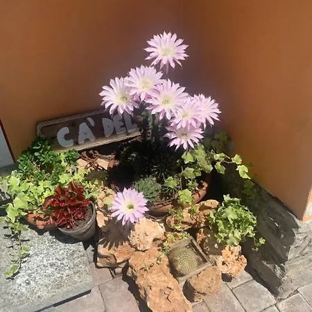 Tatil Evi Ca Del Fili *